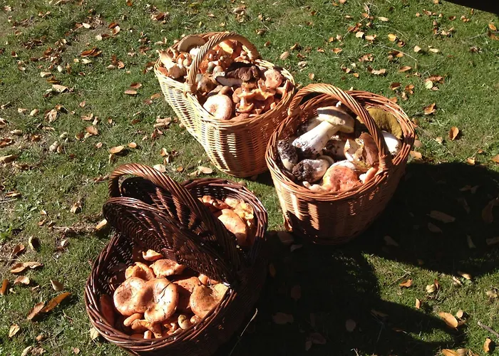 Lägenhet Casa Beatriz Valdelinares (Aragon)